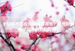上期技术的应用领域有哪些？这些应用领域的发展趋势如何？
