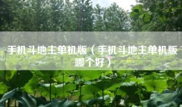 手机斗地主单机版（手机斗地主单机版哪个好）