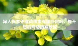 深入探索关键词搜索有哪些网站，提升您的网络搜索技能