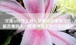 '文库AI写作工具：文章内容重复与否，能否像别人一样使用而不涉抄袭问题？'