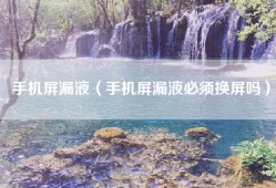 手机屏漏液（手机屏漏液必须换屏吗）