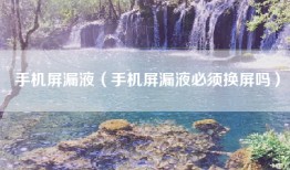手机屏漏液（手机屏漏液必须换屏吗）