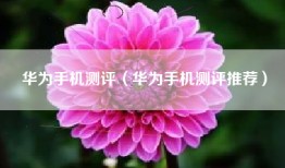 华为手机测评（华为手机测评推荐）
