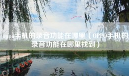 oppo手机的录音功能在哪里(OPPO手机的录音功能在哪里找到)