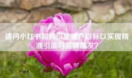 请问小红书如何设定推广目标以实现精准引流与品牌爆发？