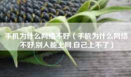 手机为什么网络不好（手机为什么网络不好,别人能上网,自己上不了）