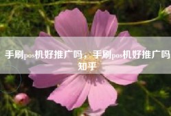手刷pos机好推广吗，手刷pos机好推广吗知乎