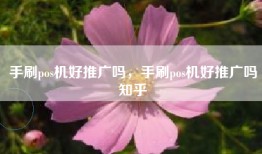 手刷pos机好推广吗，手刷pos机好推广吗知乎