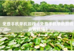 免费手机单机游戏（免费手机单机游戏资源网站）
