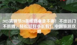 2025清明节20条线路拿走不谢！不出远门不折腾，轻松过好小长假！,中国旅游攻略
