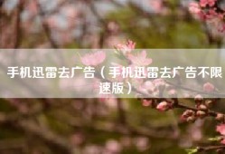 手机迅雷去广告（手机迅雷去广告不限速版）