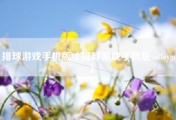排球游戏手机版（排球游戏手机版volleygo）