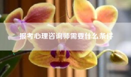 报考心理咨询师需要什么条件