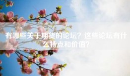 有哪些关于期货的论坛？这些论坛有什么特点和价值？