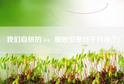 我们自研的 ice  规则引擎终于开源了！