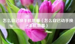 怎么自己换手机屏幕（怎么自己动手换手机屏幕）
