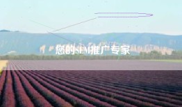 您的SEM推广专家