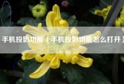 手机投影功能（手机投影功能怎么打开）