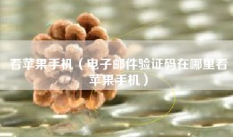 看苹果手机（电子邮件验证码在哪里看苹果手机）