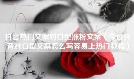 抖音热门文案对口型涨粉文案（今日抖音对口型文案怎么写容易上热门教程）