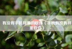 有没有手机称重的软件（手机有没有秤重软件）