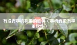 有没有手机称重的软件（手机有没有秤重软件）