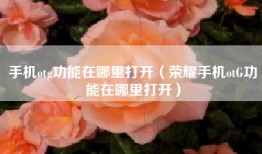 手机otg功能在哪里打开（荣耀手机otG功能在哪里打开）
