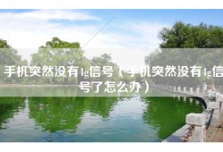 手机突然没有4g信号（手机突然没有4g信号了怎么办）