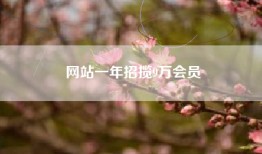网站一年招揽9万会员