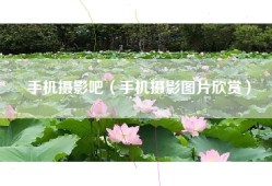 手机摄影吧（手机摄影图片欣赏）