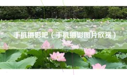 手机摄影吧（手机摄影图片欣赏）