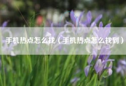 手机热点怎么找（手机热点怎么找到）