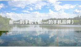 能root的手机（能root的手机品牌）