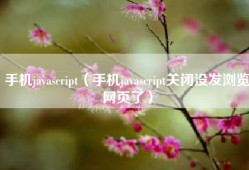 手机javascript（手机javascript关闭没发浏览网页了）