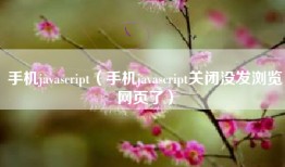 手机javascript(手机javascript关闭没发浏览网页了)