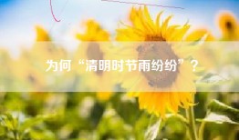 为何“清明时节雨纷纷”？