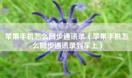 苹果手机怎么同步通讯录（苹果手机怎么同步通讯录到车上）
