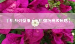 手机系列壁纸（手机壁纸高级质感）