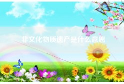 非文化物质遗产是什么意思