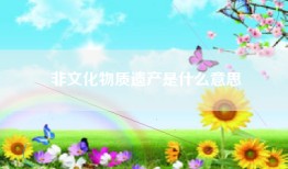 非文化物质遗产是什么意思
