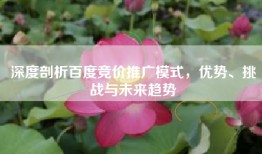 深度剖析百度竞价推广模式，优势、挑战与未来趋势