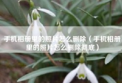 手机相册里的照片怎么删除（手机相册里的照片怎么删除彻底）