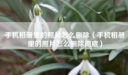 手机相册里的照片怎么删除（手机相册里的照片怎么删除彻底）