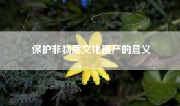 保护非物质文化遗产的意义