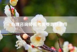 心理咨询师报考需要哪些条件