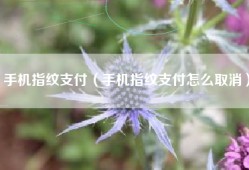 手机指纹支付（手机指纹支付怎么取消）
