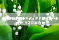 手机正确的充电方式（手机正确的充电方式是先插哪边）