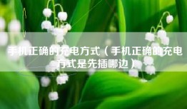 手机正确的充电方式（手机正确的充电方式是先插哪边）