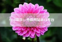 Mysql项目2--升级网站运行平台