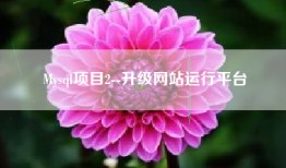 Mysql项目2--升级网站运行平台